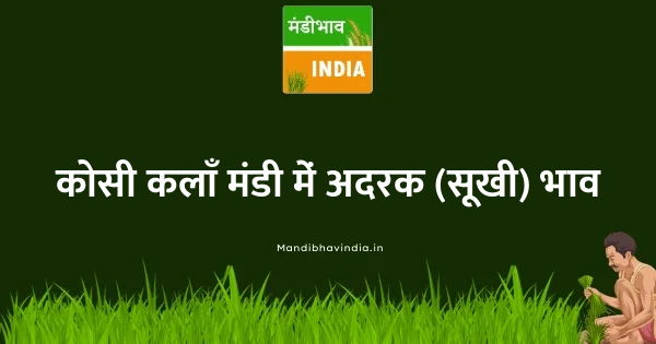 ginger dry भाव